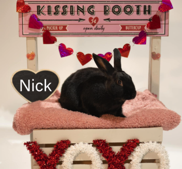 NICK