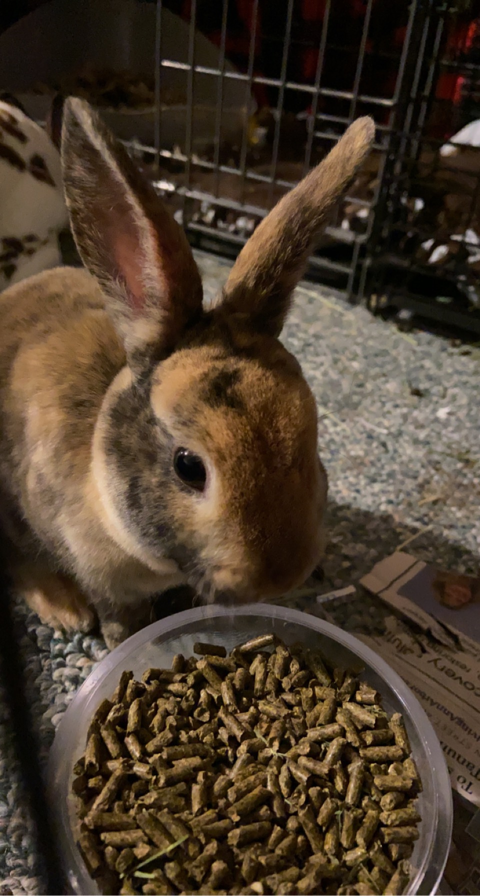 HUXLEY
